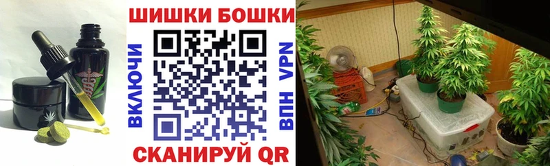 Canna-Cookies марихуана  ОМГ ОМГ ссылки  нарко площадка клад  Новороссийск 