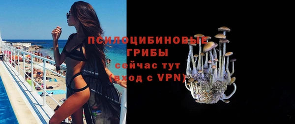 бошки Верхний Тагил