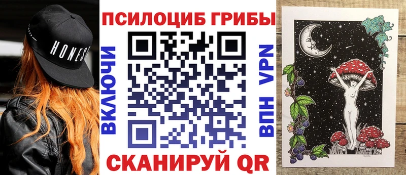 Галлюциногенные грибы Magic Shrooms  где продают   darknet как зайти  Новороссийск 